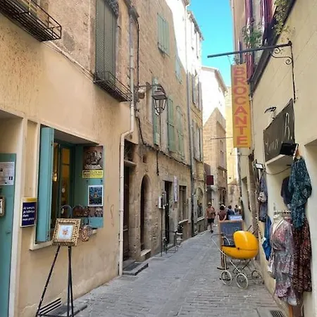 Maison Spacieuse Et Confortable Avec Patio Holiday home Roujan