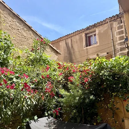 Le Patio Roujanais By Gc - Clim - Wifi Сasa de vacaciones *